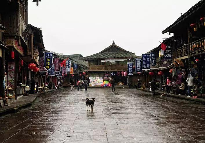 汽车弯道漂移